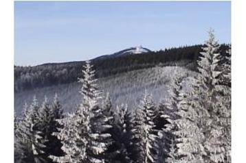 Čekija Byt Staré Hamry, Eksterjeras